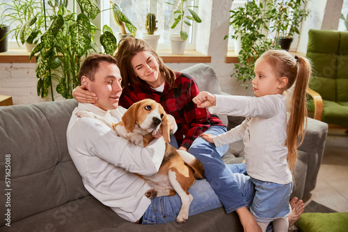 Portrait of beautiful young man and woman, playing with child and don at home on sofa. Happiness, positive vibes and love. Concept of relationship, family, parenthood, childhood, animal life © master1305