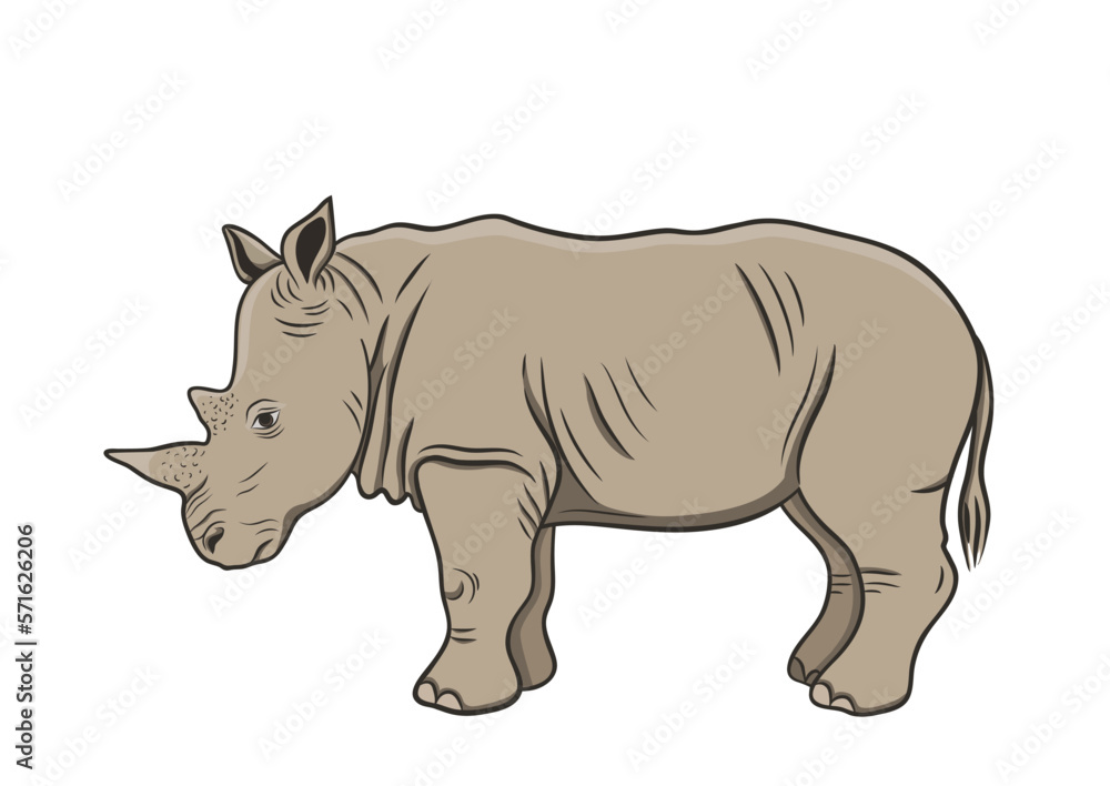 graphic vector outline illustration with african rhinoceros