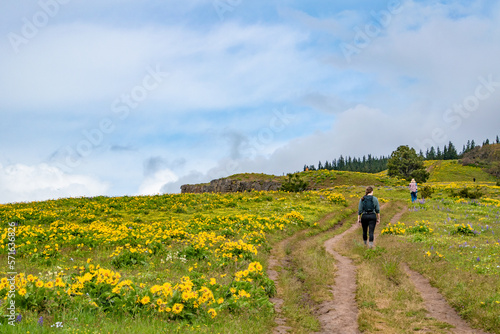 Obraz na plátně People Hiking Along Grassy Hillside During Springtime Flower Bloom at Coyote Wal