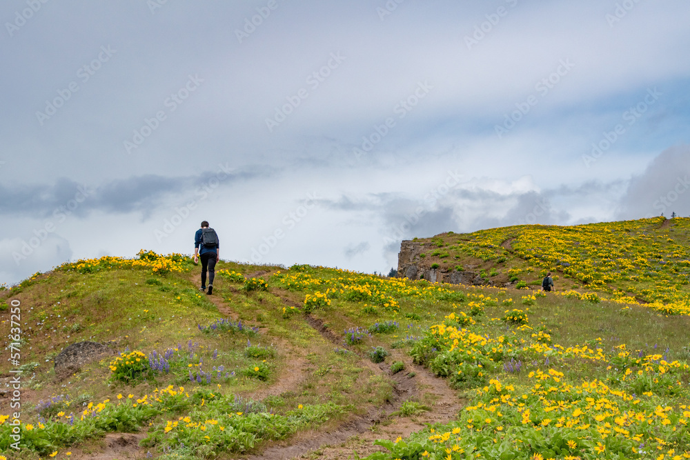 Alone Single Person Walking on Spring Trail With Clouds at Coyote Wall in the Columbia River Gorge in Oregon & Washington