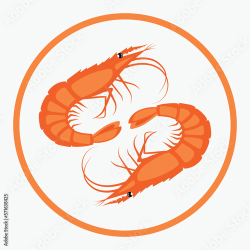 Shrimp vector illustration. White background.
