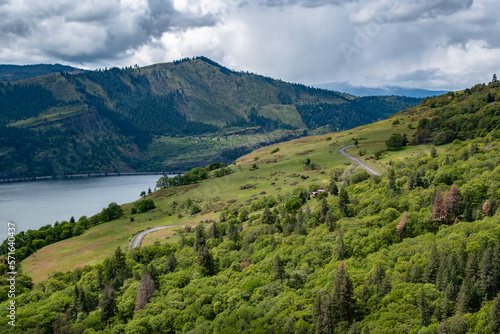 Winding Highway on Grassy Hillside at Coyote Wall Overlooking the Columbia River Gorge in Oregon & Washington