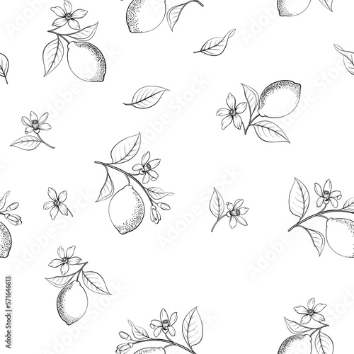 Lemon seamless pattern . Fruit, leaf and flowers.
