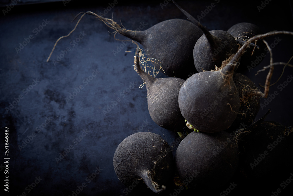 Black radish with copyspace Black radish with copyspace