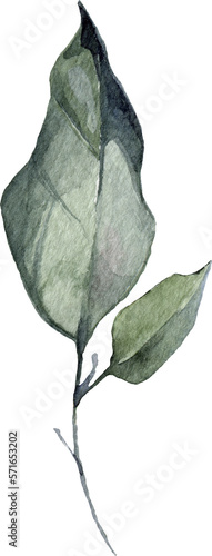 Watercolor Hand Drawn Green Leaves Illustration 