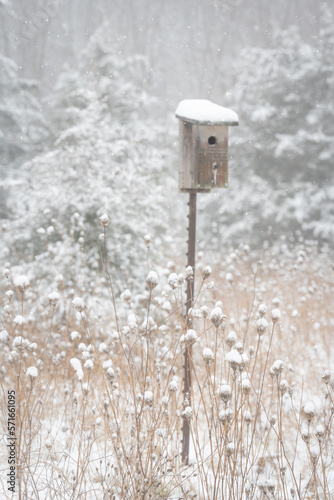 Snowy Nesting Box