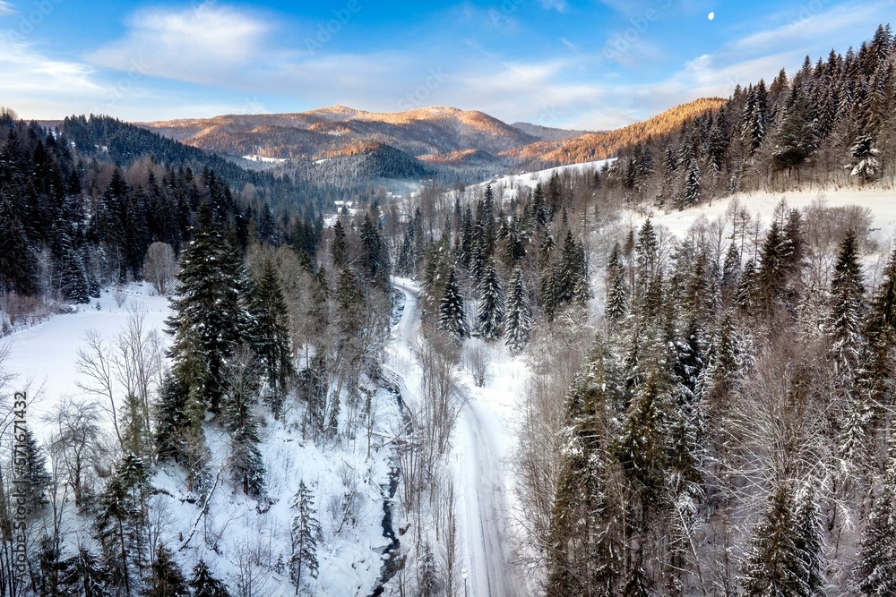 Zimowy, śnieżny poranek w Gorcach w miejscowości Szczawa Zimowy, śnieżny poranek w Gorcach w miejscowości Szczawa