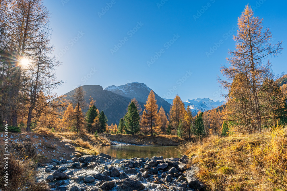 Ein sonniger Herbsttag im Engadin, Morteratsch, Pontresina, Graubünden, Schweiz
 - obrazy, fototapety, plakaty 