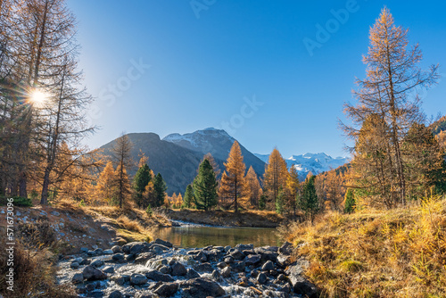 Ein sonniger Herbsttag im Engadin, Morteratsch, Pontresina, Graubünden, Schweiz
 photo