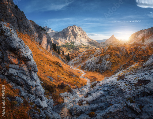 Beautiful mountain path, rocks and stones, orange trees at sunset in autumn in Dolomites, Italy. Colorful landscape with forest, rocks, trail, orange grass and blue sky in fall. Hiking in mountains
