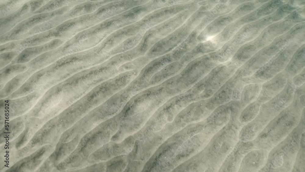 Slow motion, glare of the sun plays on the sandy bottom in shallow water. Top view on sandy seabed in shallow water with diagonal lines of sand and sun glare on its surface in brightly suny day Slow motion, glare of the sun plays on the sandy bottom in shallow water. Top view on sandy seabed in shallow water with diagonal lines of sand and sun glare on its surface in brightly suny day