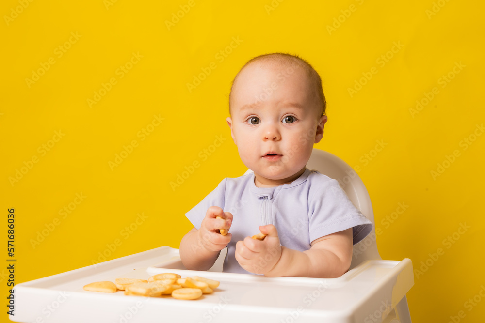 a cute baby is sitting in a child's chair eating cookies. Yellow background. Baby food, space for text a cute baby is sitting in a child's chair eating cookies. Yellow background. Baby food, space for text