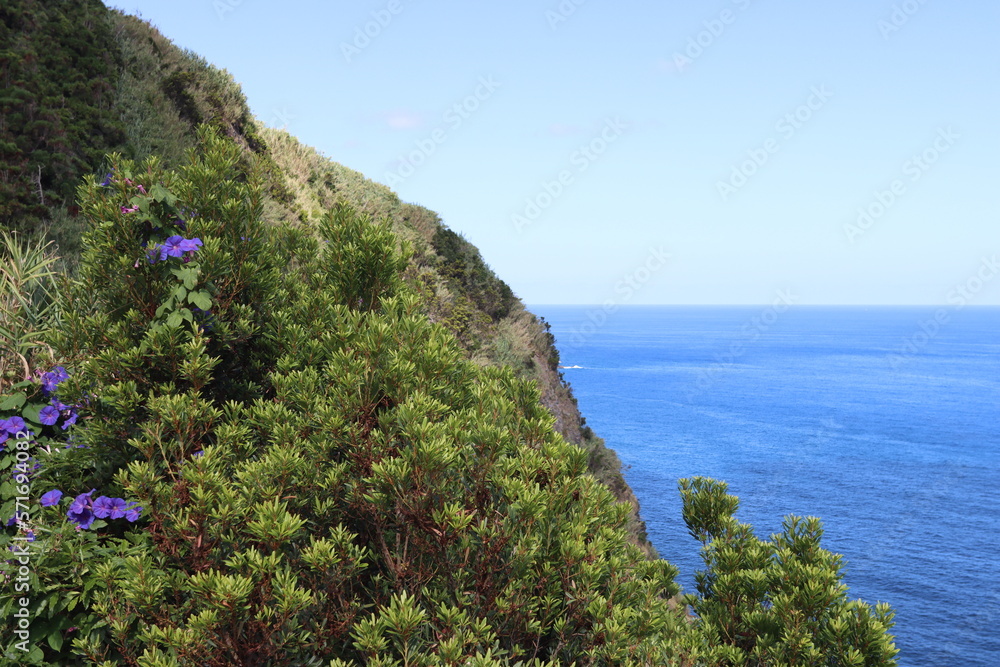 Fototapeta premium An der Klippe mit Blick auf den Ozean
