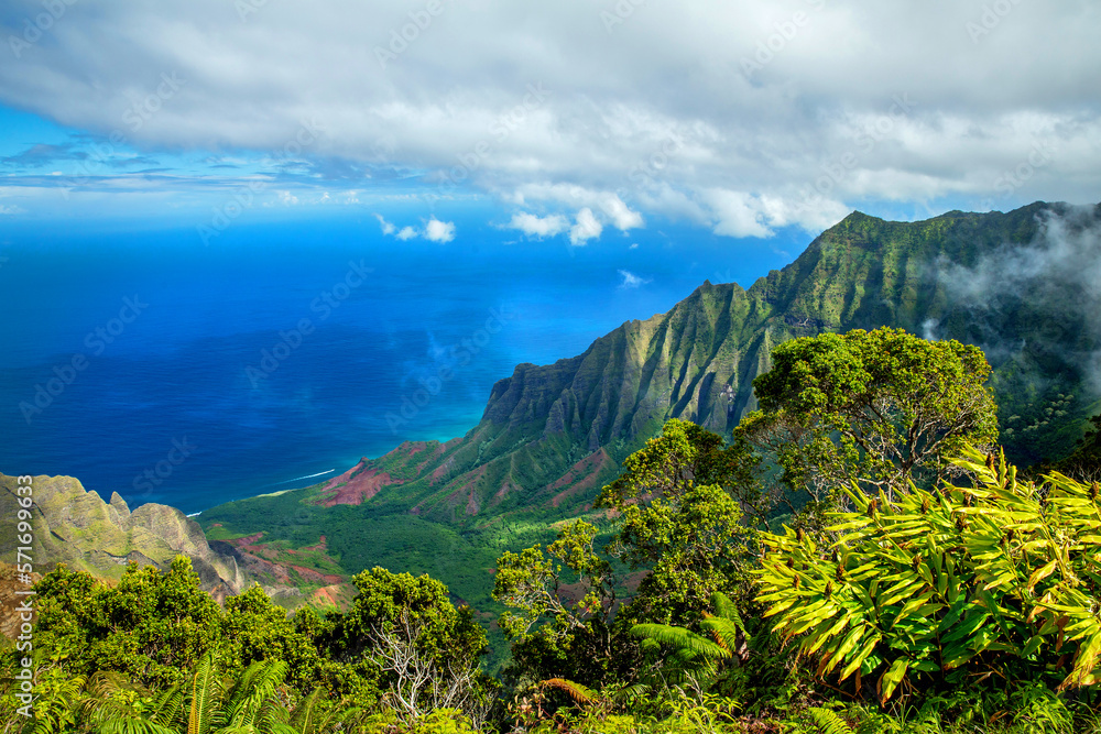 Fototapeta premium Napali Coast View From Above, Kauai, Hawaii