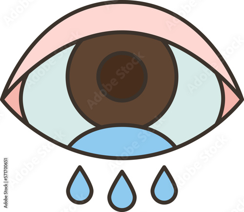 eyes  icon