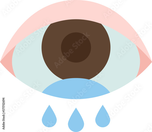 eyes  icon
