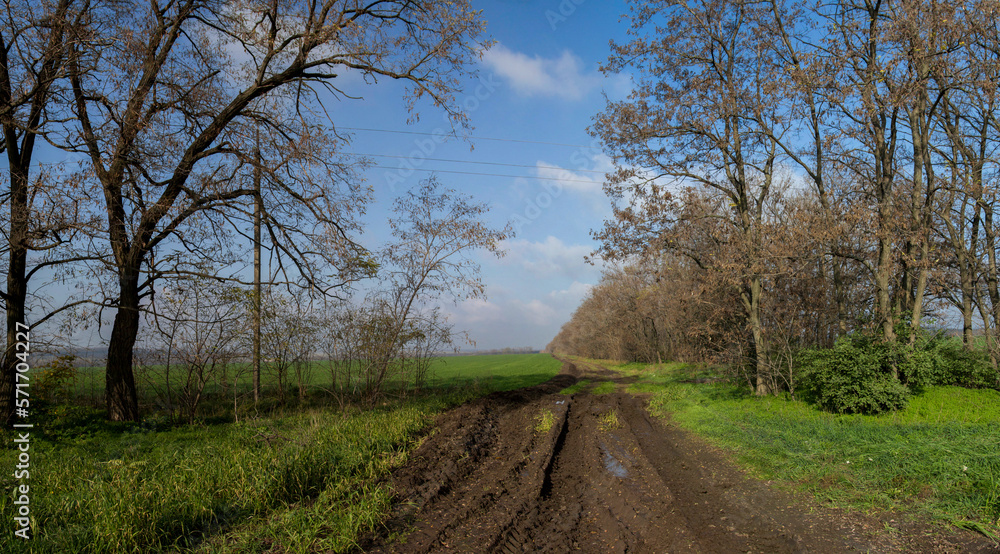 Autumn rural landscape with a bad road, panorama