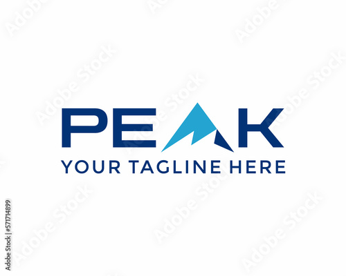peak mountain logo design. unique logo wordmark logo design.