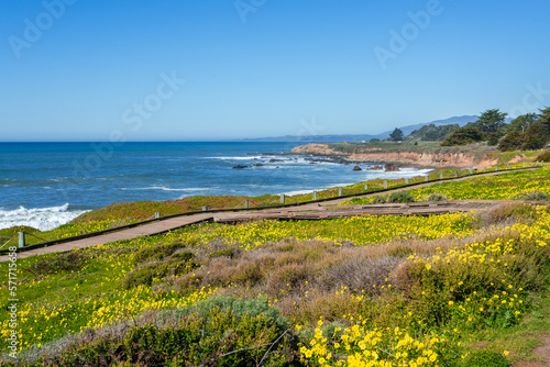 Beautiful ocean coast in Cambria, California, in warm weather. Walking path along the park photo