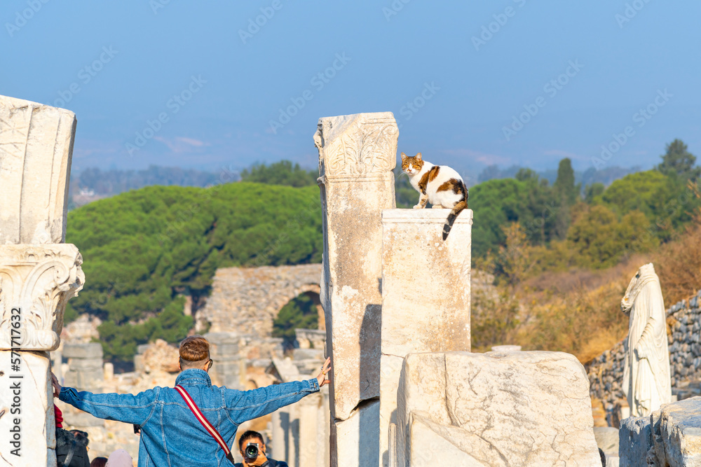 Φωτογραφία Tourists pose alongside one of the many stray cats who lounge and sleep on the marble statues and columns in the ancient city of Ephesus, Turkey