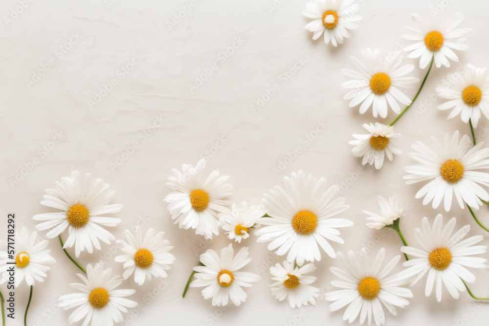 Obraz premium Daisy Flower Background - Fresh white daisy flowers against a soft beige background - Generative AI technology