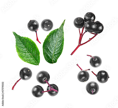 Top view of elderberries isolated on a white background, flat lay. Collection of leaves and berries.