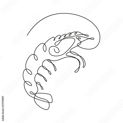 Shrimp vector illustration. White background.
