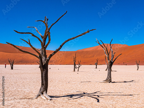 Namibie, Sossuvlei et Deadvlei