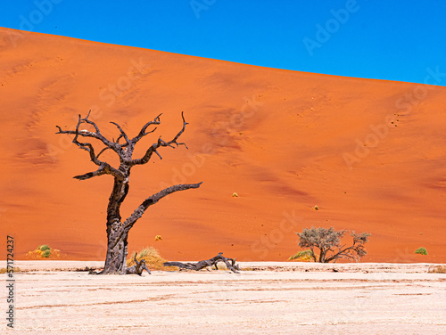 Namibie, Sossuvlei et Deadvlei