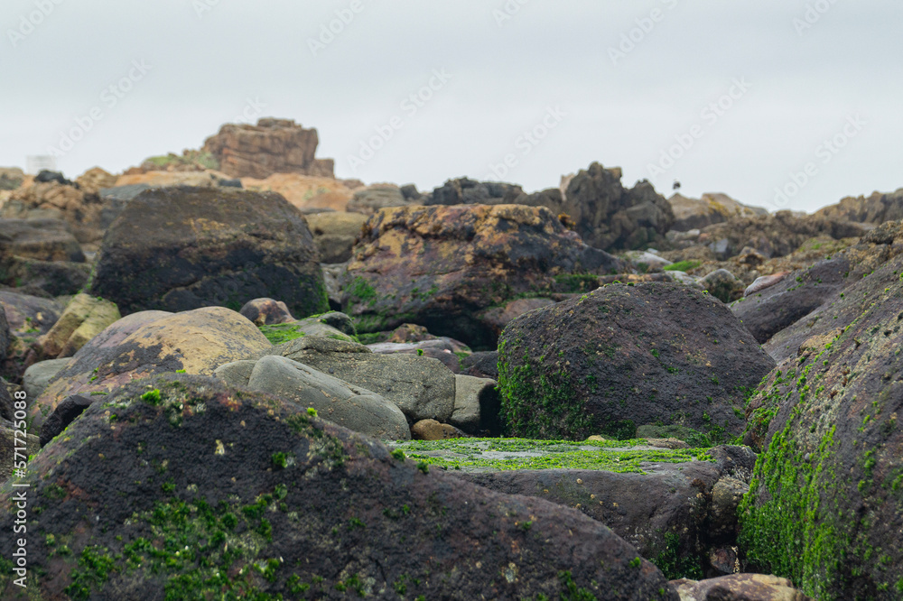 shoreline rocks