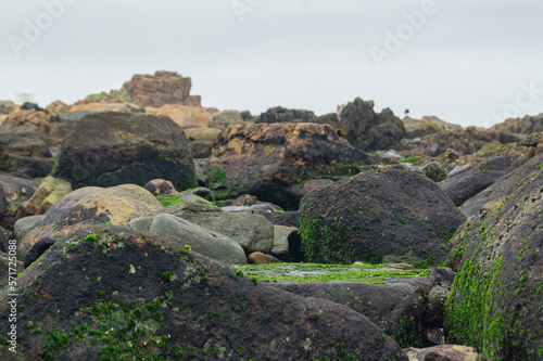 shoreline rocks