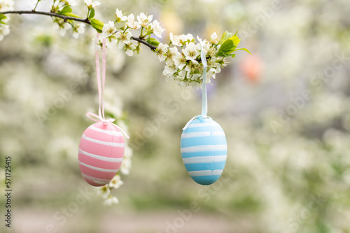 A Easter egg is hanging on a branch of a blooming cherry tree. Easter spring background