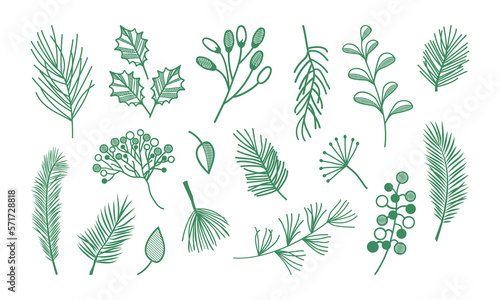 Foto Plant, leaf and branch hand drawn icon, floral vector set isolated on white background