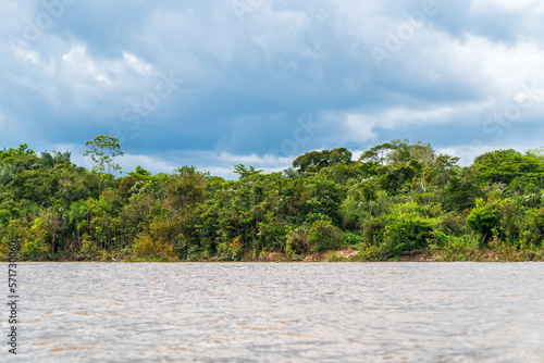 Fototapeta Naklejka Na Ścianę i Meble -  Beautiful Amazon Riverbank