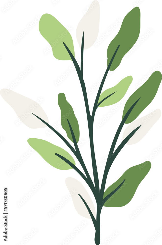 Fototapeta premium Green botanical leaves illustration