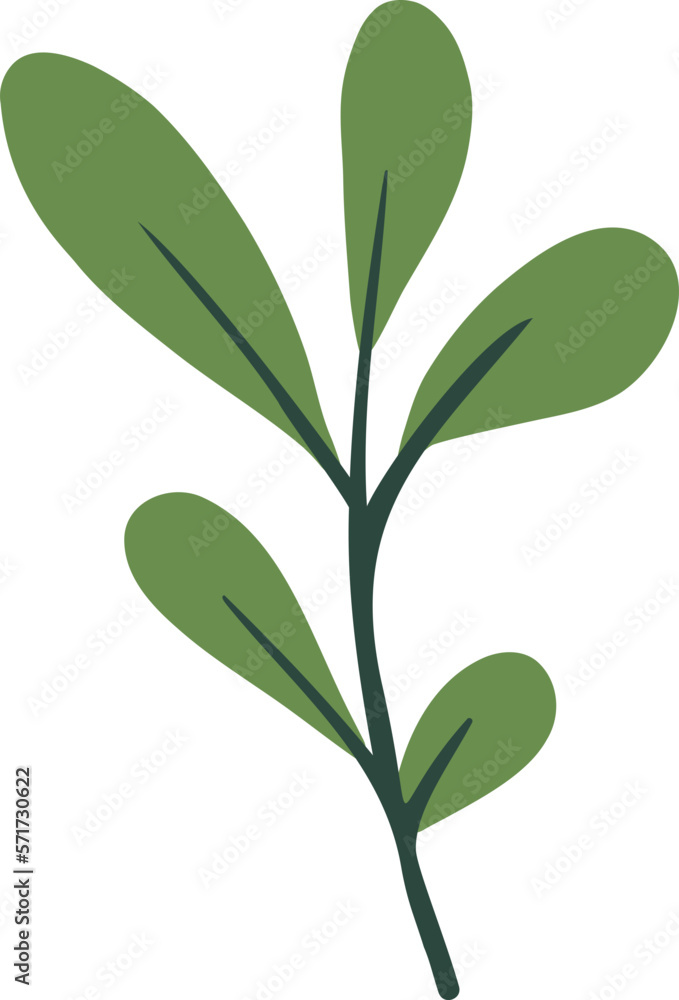 Green botanical leaves illustration Green botanical leaves illustration