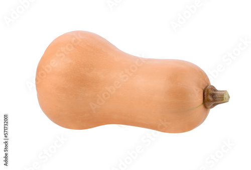 Butter nut squash transparent png