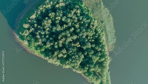 An island in a lake full of trees. A green island in the middle of a huge body of water.