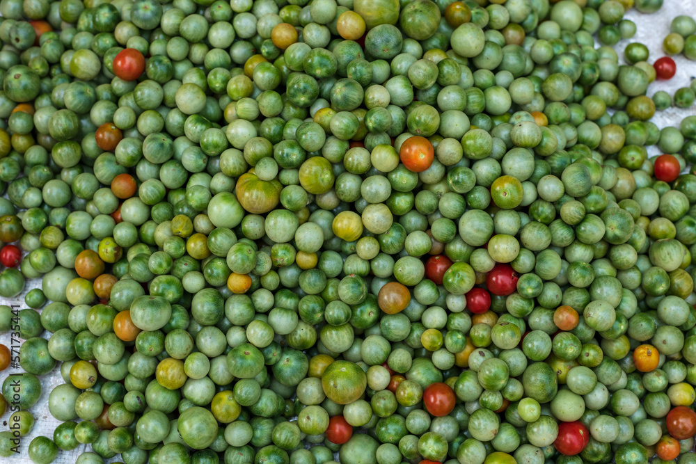Colorful variety of wild tomatoes. Top view of tomato(Lycopersicum Esculentum Mill) Colorful variety of wild tomatoes. Top view of tomato(Lycopersicum Esculentum Mill)