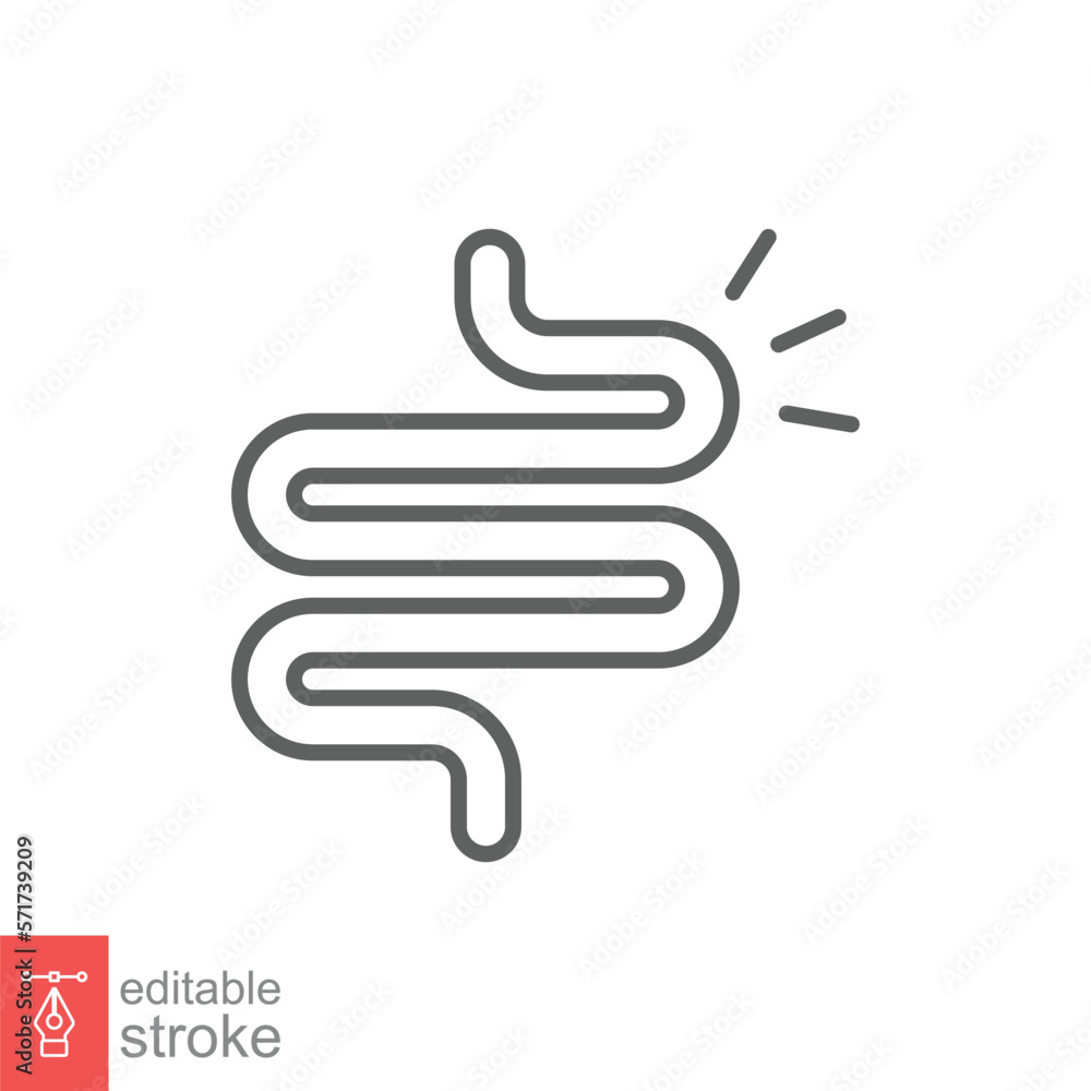Intestine line icon. Simple outline style. Bowel, healthy stomach, gut constipation concept. Symbol of digestion system. Vector illustration isolated on white background. Editable stroke EPS 10. Intestine line icon. Simple outline style. Bowel, healthy stomach, gut constipation concept. Symbol of digestion system. Vector illustration isolated on white background. Editable stroke EPS 10.