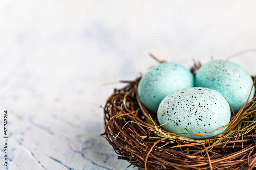 Turquoise eggs in a bird's nest close-up on a light background. Happy Easter holiday. Selective focus. Space for text. Turquoise eggs in a bird's nest close-up on a light background. Happy Easter holiday. Selective focus. Space for text.