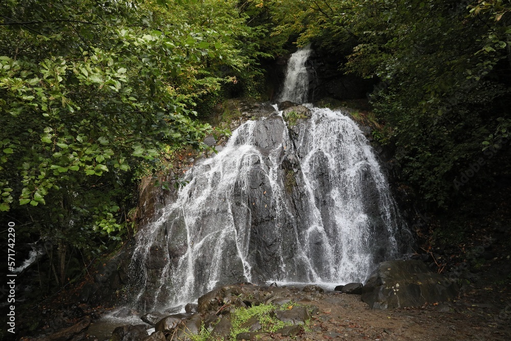 Obraz premium Picturesque view of small waterfall in forest