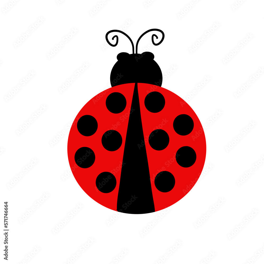 cute ladybird insect animal cute ladybird insect animal