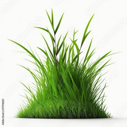 Green grass, digital illustration, generative ai, foliage