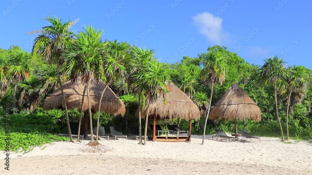 Palms parasols sun loungers beach resort Playa del Carmen Mexico. Palms parasols sun loungers beach resort Playa del Carmen Mexico.
