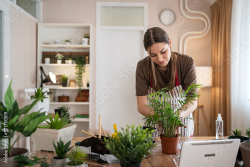 woman gardener florist take care grow cultivate plants at home