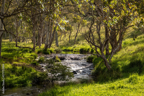 Meldrum Creek near, Dorrigo, New South Wales photo