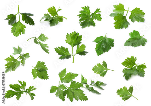 Collage of fresh green parsley on white background