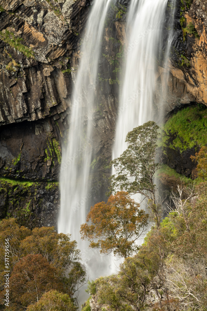 Fototapeta premium Ebor Falls, Guy Fawkes River National Park, NSW
