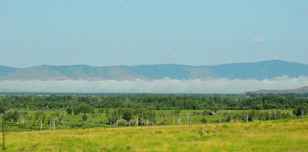 Panoramic shot of a clearing in front of a large birch forest at the foot of the mountains and thick fog over the peaks.